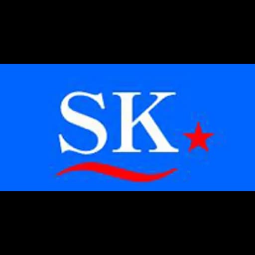 Shinki International Co.,Ltd. logo