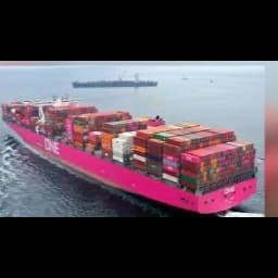 Shinwari Merchant international pvt Ltd logo