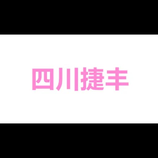 SICHUAN JIEFENGTONGDA INTERNATIONAL FREIGHT COMPANY LIMITED logo