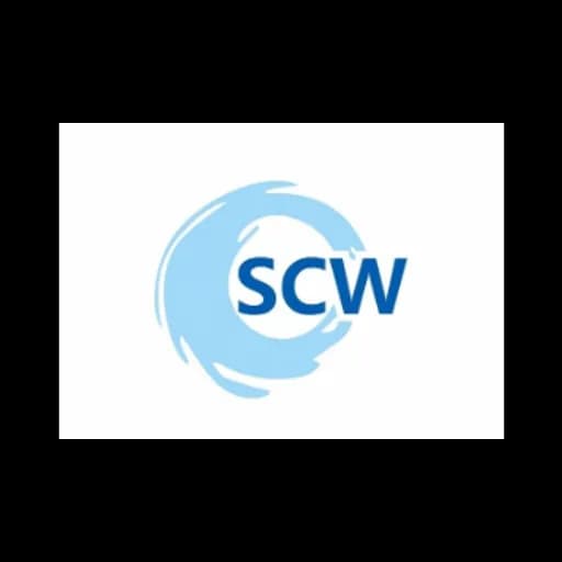 Sky Chain Worldwide (Shenzhen) Limited logo