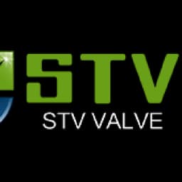 STV Valve Technology Group Co.,Ltd. logo