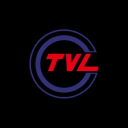 T.V.L. GLOBAL LOGISTICS CO.,LTD. SHANHGAI BRANCH logo