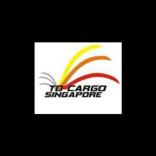 TD CARGO SINGAPORE PTE LTD logo