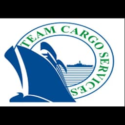 TEAM CARGO SERVICES logo