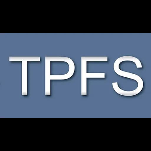 THUAN PHONG INTERNATIONAL FREIGHT AND SERVICE JOINT STOCK COMPANY logo