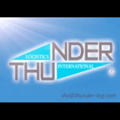 Thunder Logistics International(Shanghai) Co.,Ltd logo