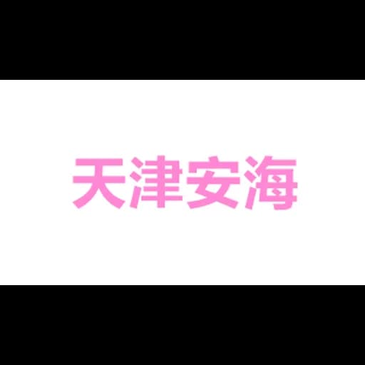 Tianjin Anhai Logistics Development logo