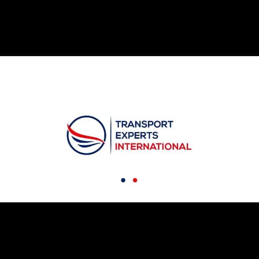 Transport Experts International, LLC logo