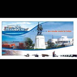 TRANSSENE INTERNATIONAL logo