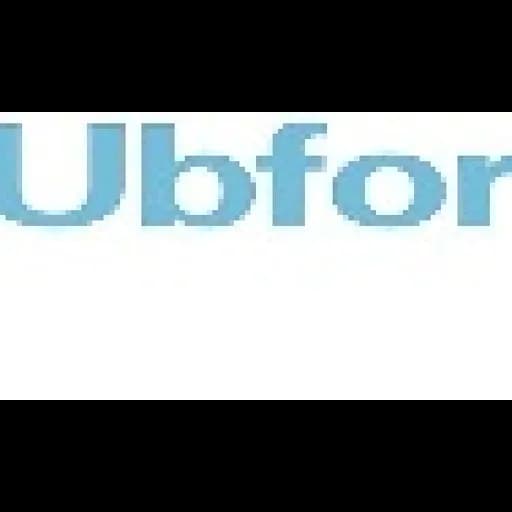 Ubfor International Inc logo