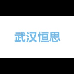 WUHAN HENGSI INTERNATIONAL LOGISTICS CO.,LTD logo