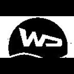 WUZHOU W AND D INTERNATIONAL TRANSPORTATION LTD. logo