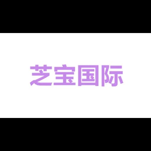 zhibao international logistics (shanghai) Co.,Ltd logo