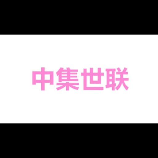 中集世联达 logo