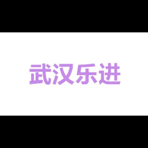 武汉乐进国际货运代理有限公司 logo