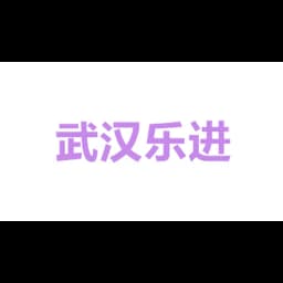 武汉乐进国际货运代理有限公司 logo