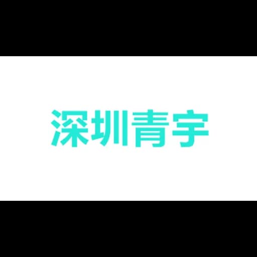深圳市青宇国际货运代理有限公司 logo