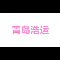 青岛浩运国际物流有限公司上海分公司 logo