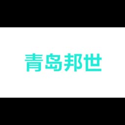 青岛邦世通达国际货运代理公司 logo