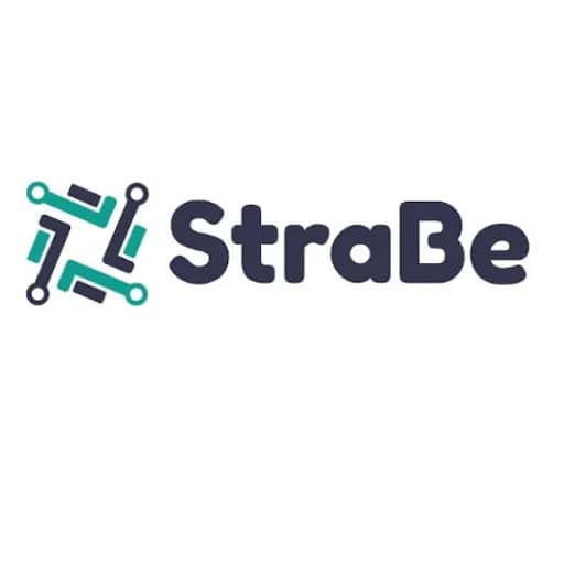 STRABE LOGISTICS PRIVATE LIMITED logo
