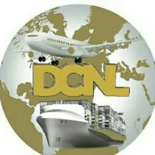 DESTINY CARGO NIGERIA LIMITED logo