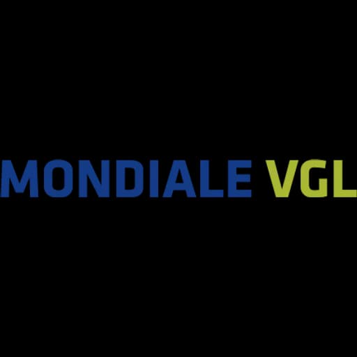 MONDIALE VGL ULUSLARARASI TAS. HIZ. TIC. A.S logo