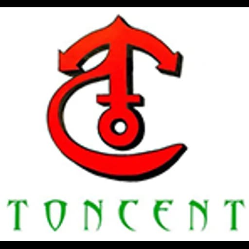 TONCENT INTL LOGISTICS CO.,LTD logo