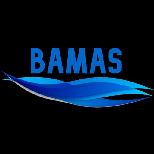 Bamas srl logo