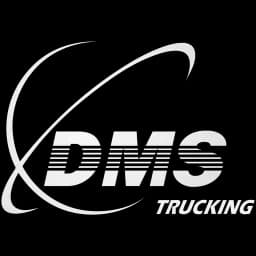 PT. DUNIA MULTI SERVINDO logo