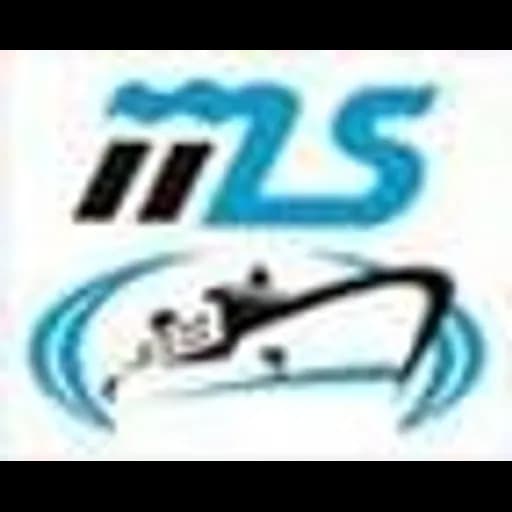 MOUNTSKY SHIPPING PRIVATE LIMITED logo