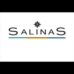 SALINAS DENIZCILIK VE TASIMACILIK HIZMETLERI LTD STI logo