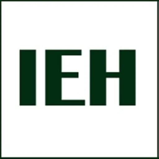 INTERNATIONAL EXPRESS HANDLING EST. logo