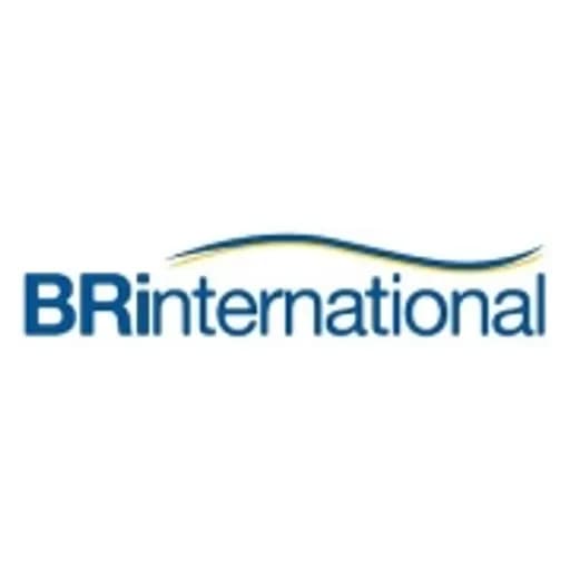 BR International logo
