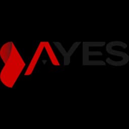 AYES LOJISTIK IC VE DIS TICARET A.S. logo