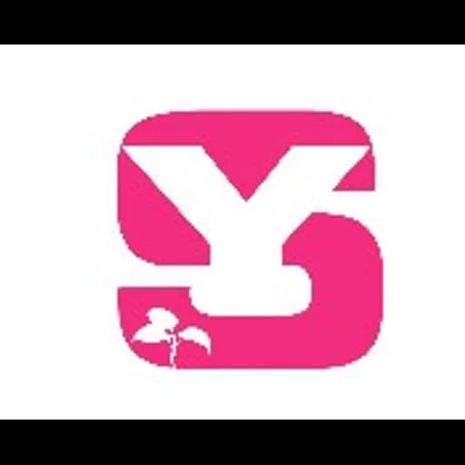 Senya international transportation Co.Ltd. logo