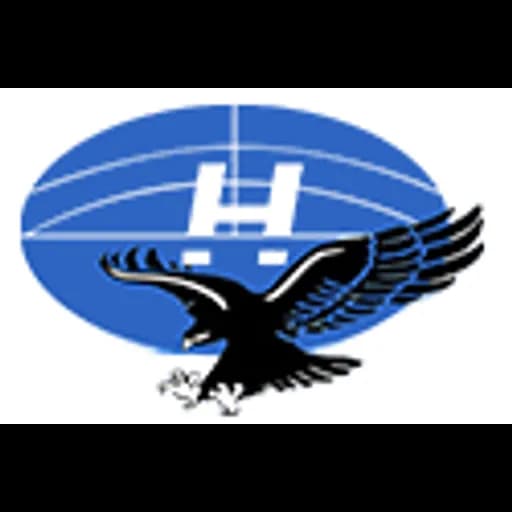 Link-Rich International Freight Forwarding Co., LTD. logo