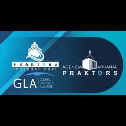 PRAKTORS INTERNATIONAL logo