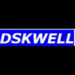 Wuhan Dskwell International Freight Agent Co., Ltd. logo