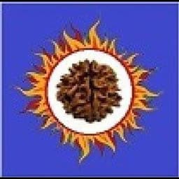 VRRDDHI FREIGHT PVT LTD logo