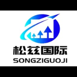 Shanghai - Shanghai Songzi International Logistics Co., Ltd. (Shanghai, Head Office) logo