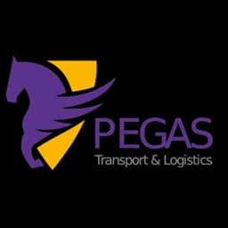 Almaty - PEGAS Logistics LLP (Almaty, Head Office) logo