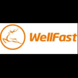 WELLFAST USA INC logo