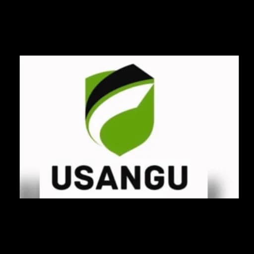 USANGU LOGISTICS (T) LIMITED logo