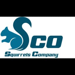 SQUIRRELS TRANSPORTATION DELIVERY SERVICES COMPANY LIMITED logo