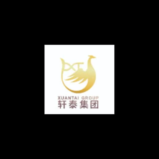Shanghai Xuantai International Logistics Forwarding Co., Ltd. logo