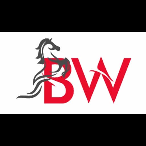 Burraq Worldwide (Pvt) Ltd. logo