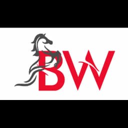 Burraq Worldwide (Pvt) Ltd. logo