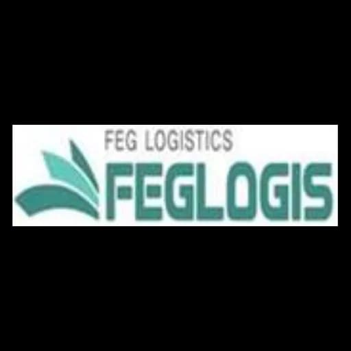 FEG Logistics Co.,Ltd. ( Shenzhen Branch) logo