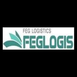 FEG Logistics Co.,Ltd. ( Shenzhen Branch) logo