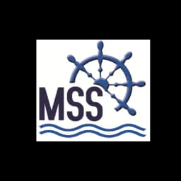 MILLENNIUM SHIPPING SERVICES LLC logo